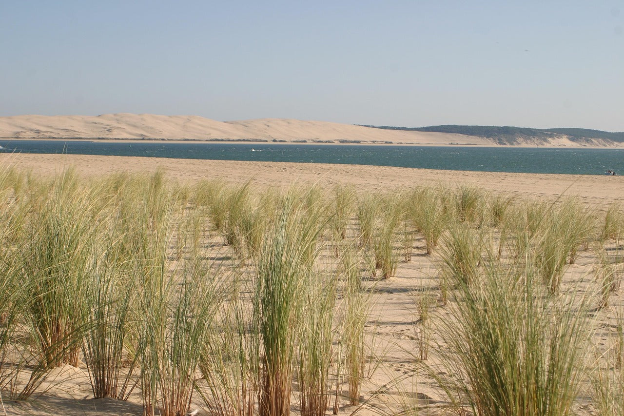 Un technicien Dr.iPhone réparant un iPhone pour un client de Marcheprime